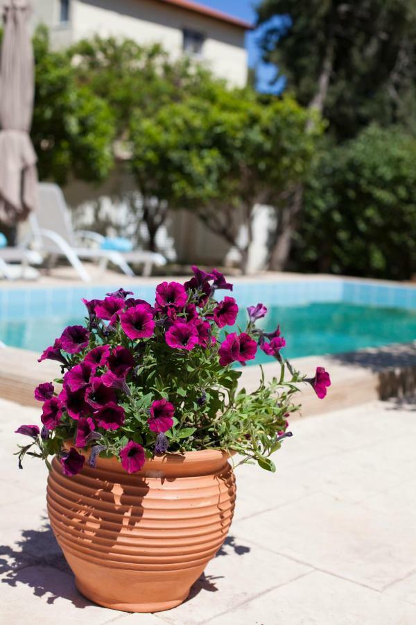 Sunny Rhodes Villa Koskinou (Rhodes) Exterior foto