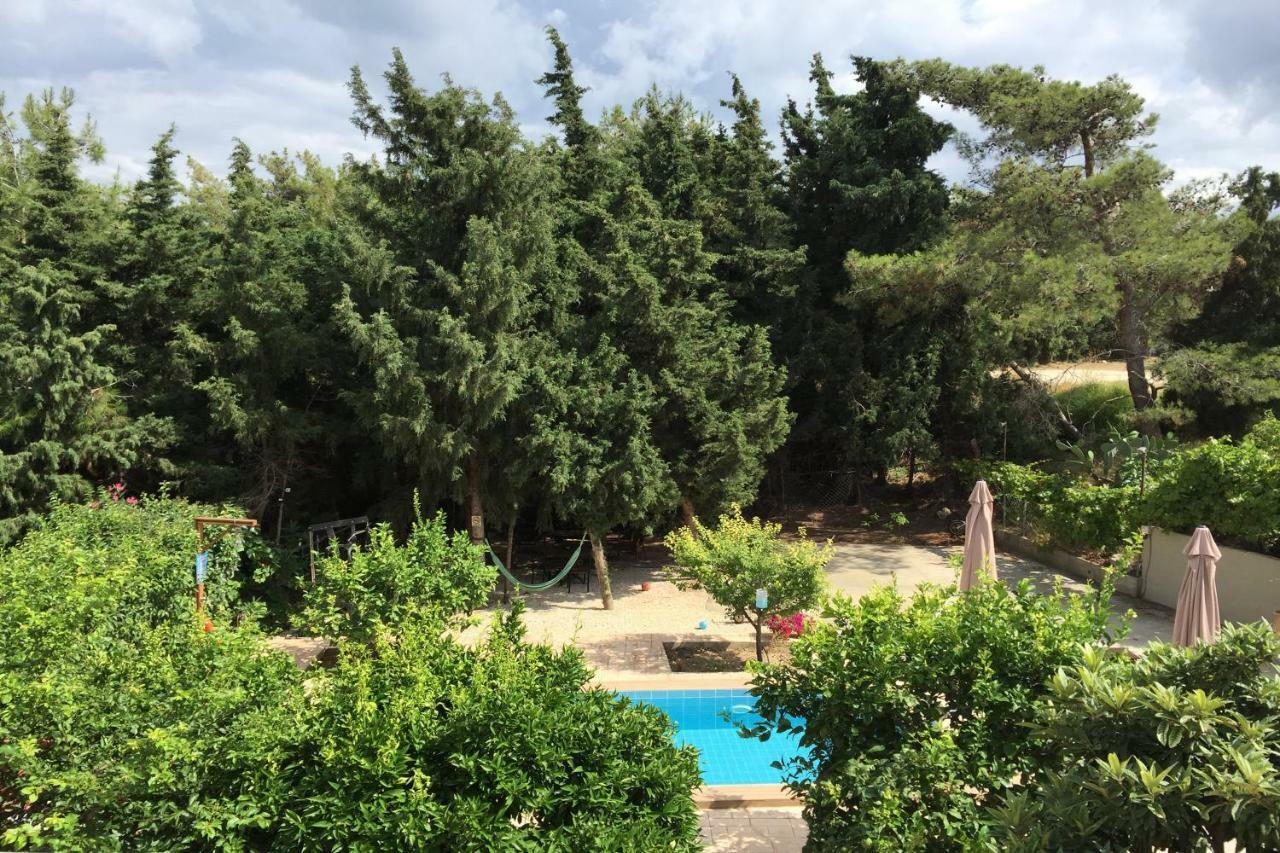 Sunny Rhodes Villa Koskinou (Rhodes) Exterior foto
